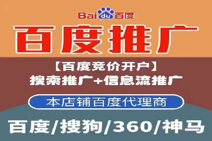 竞价推广成功案例解析
